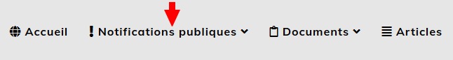 Retrouver publication 1