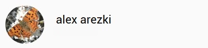 alex arezki
